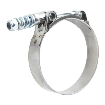 T-Bolt With Spring