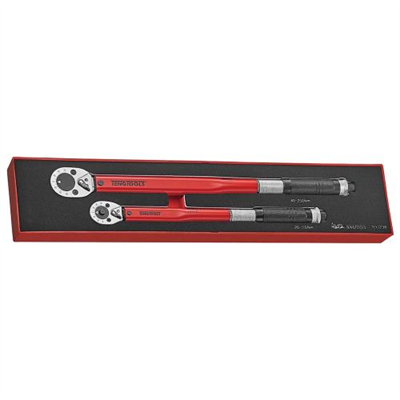 Teng 2pc 3/8&1/2in Dr. Torque Wrench Set - TEX-Tray