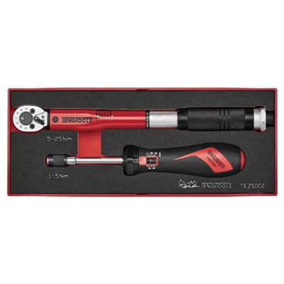 Teng 2pc 1/4in Torque Set 1-25 Nm
